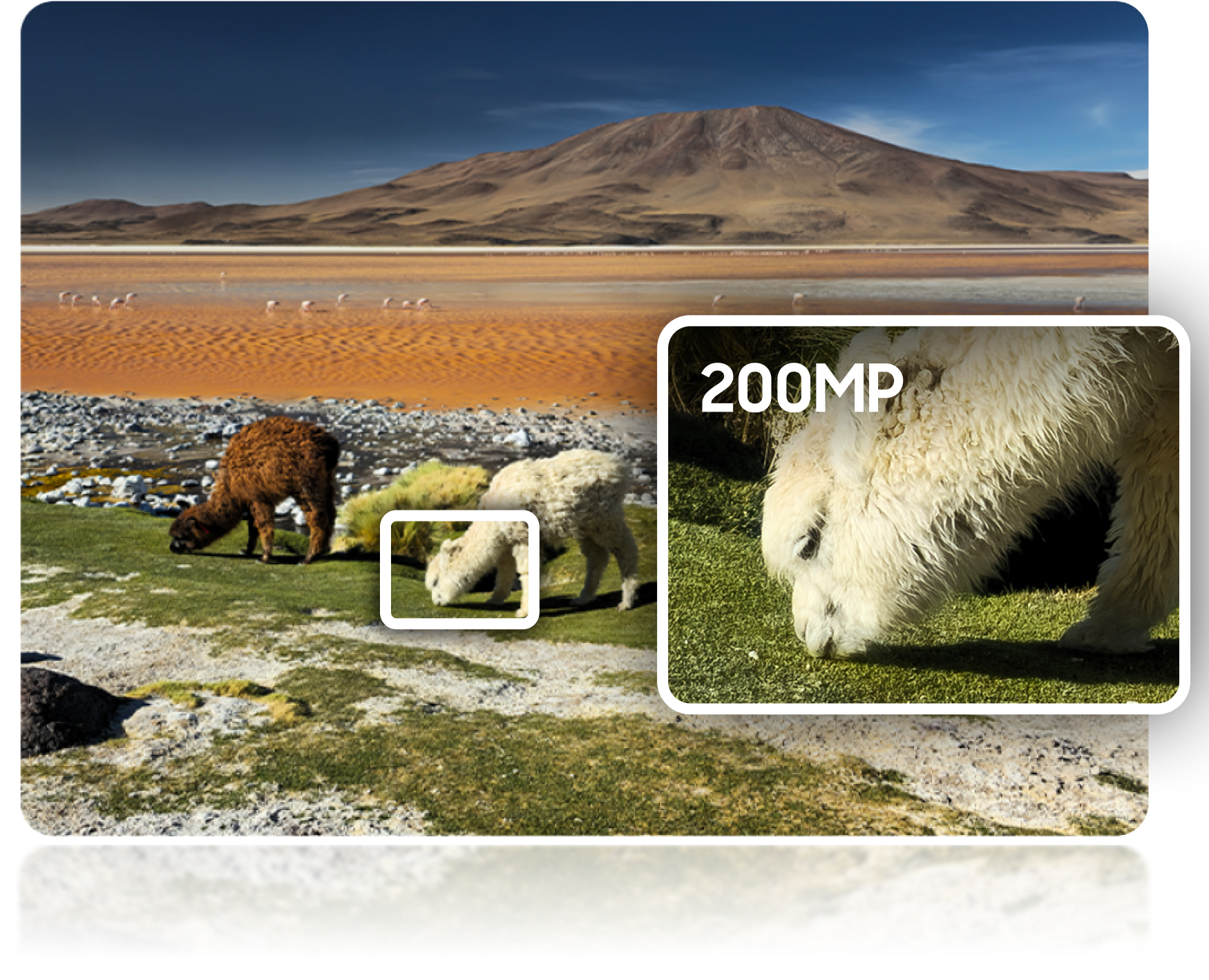 samsung-s-series-S24U_Camera1