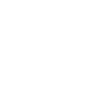 Icon_German-Brand