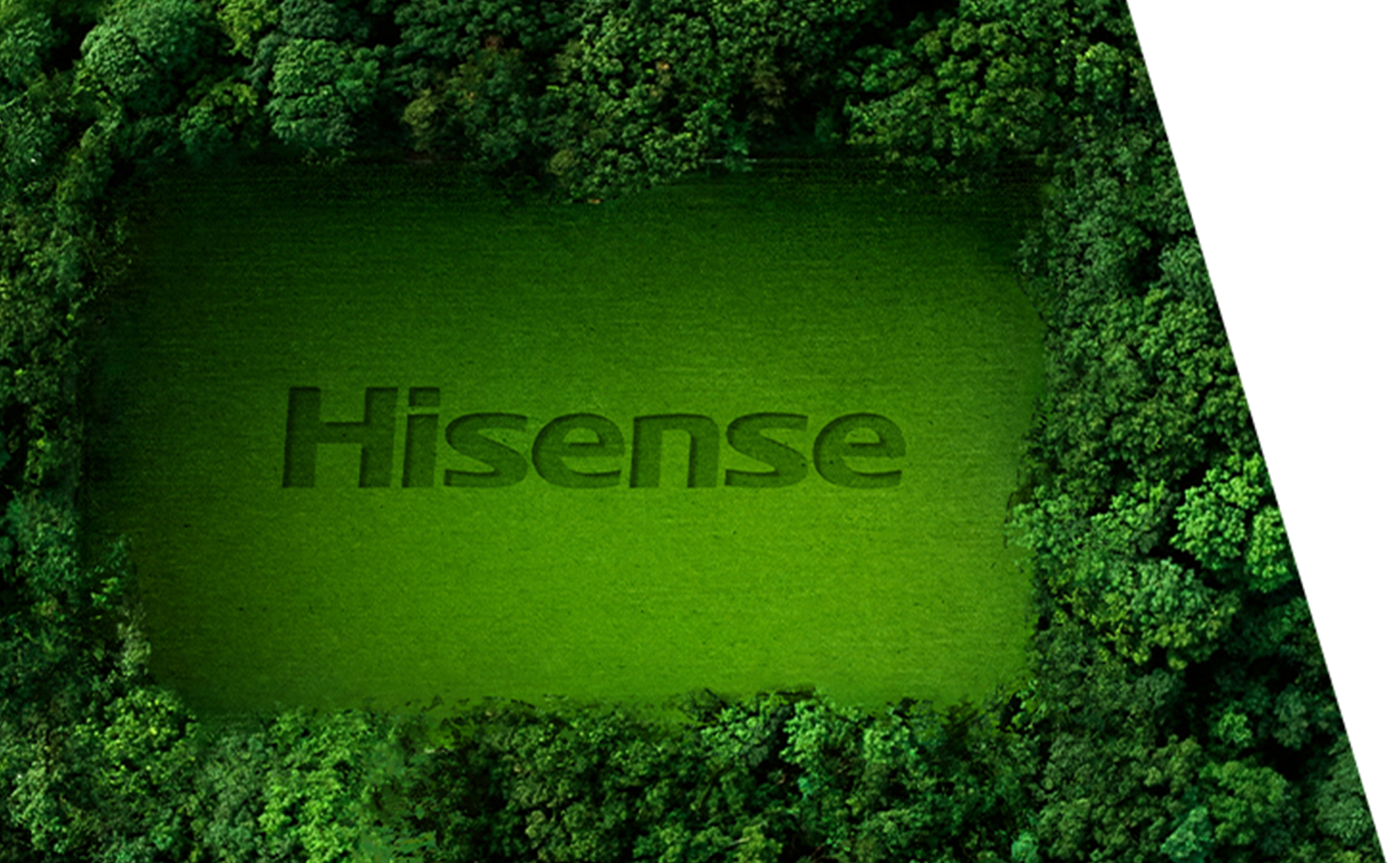 Green Credentials image