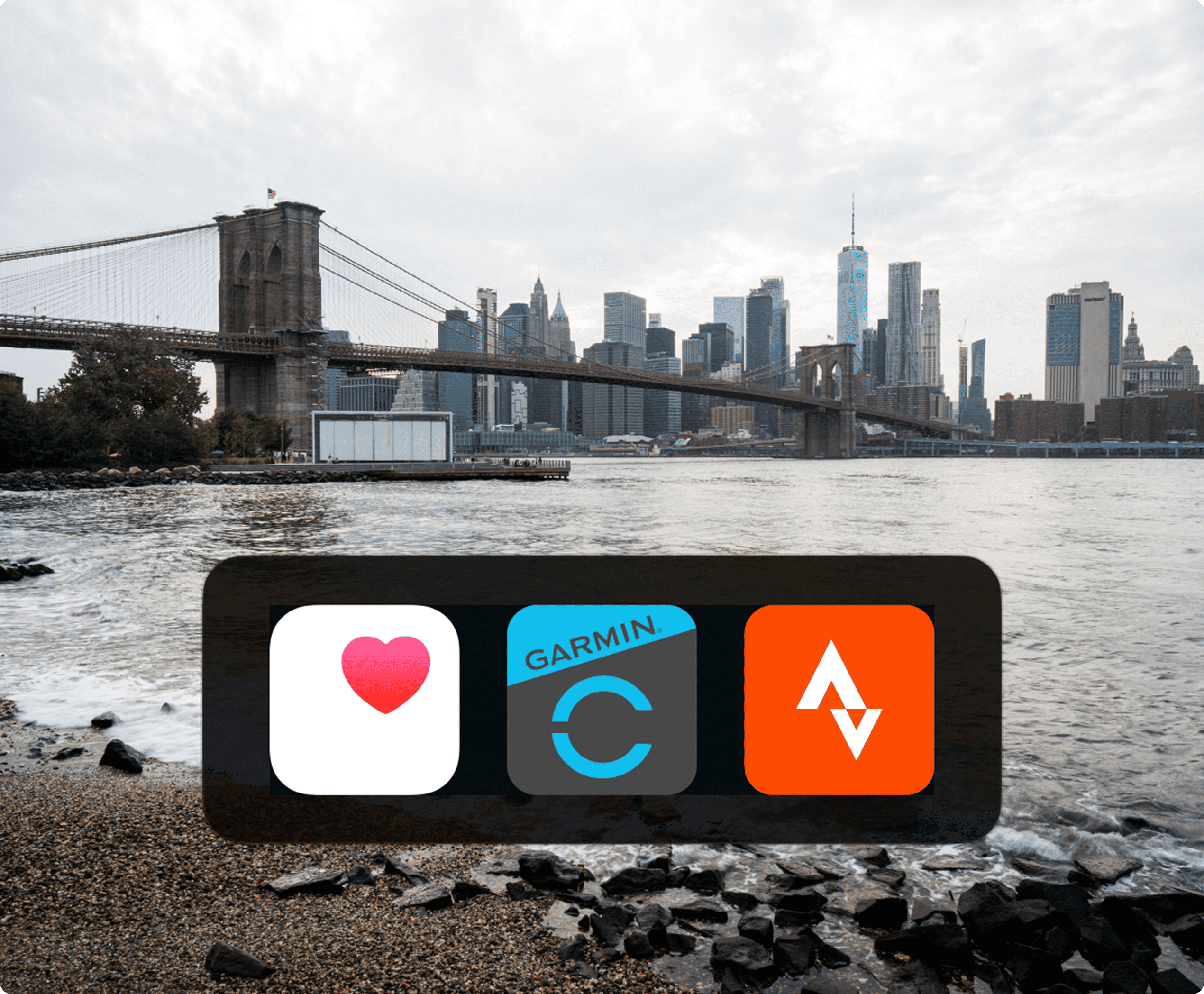 IFIT-PRO-MEMBERSHIP-Media-Image