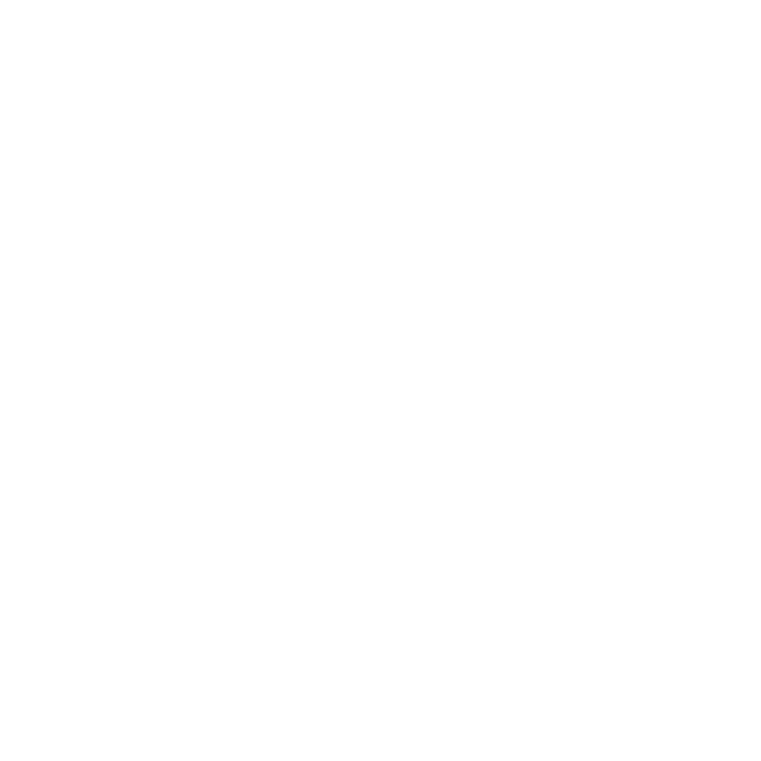 Icon Expert Tech Support