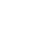 Icon Easy Setup