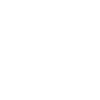 Icon Next-Gen Security