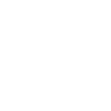 Icon Operating Systems