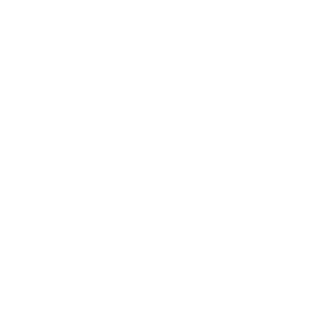 Icon_Warranty