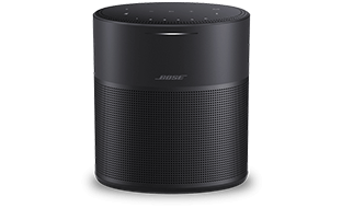Bose speaker 300