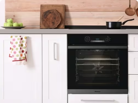 Electric Pyrolytic Oven