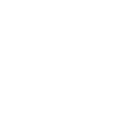 bulb icon