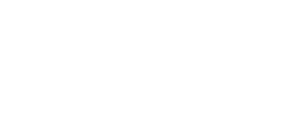ninja logo
